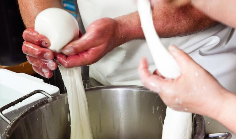 Produzione Mozzarella di Bufala Campana