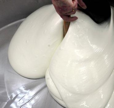 Mozzarella di Bufala